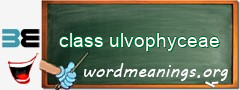 WordMeaning blackboard for class ulvophyceae